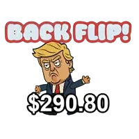 Flip